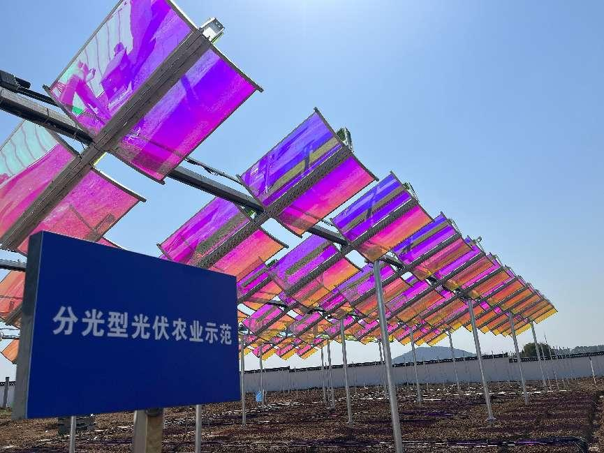 向阳而生，与光共舞——高资100MW光伏项目破土成章，匀光分光间书写"双碳"诗行